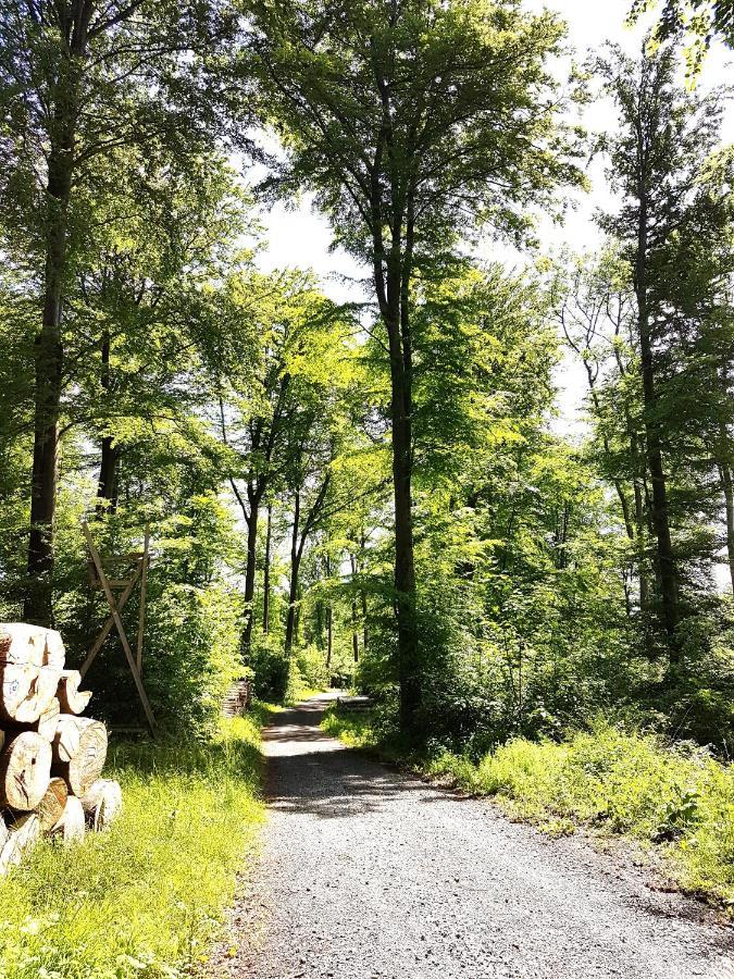 Steewer Landhaus Gemuetliche Ferienwohnung Bis 6 Pers In Ruhiger Ortsrandlage Stebach Buitenkant foto