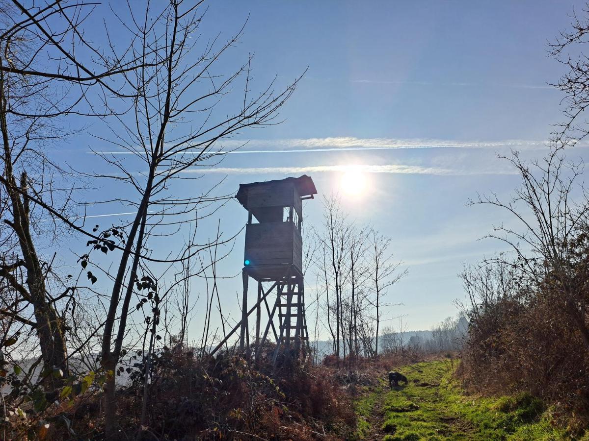 Steewer Landhaus Gemuetliche Ferienwohnung Bis 6 Pers In Ruhiger Ortsrandlage Stebach Buitenkant foto