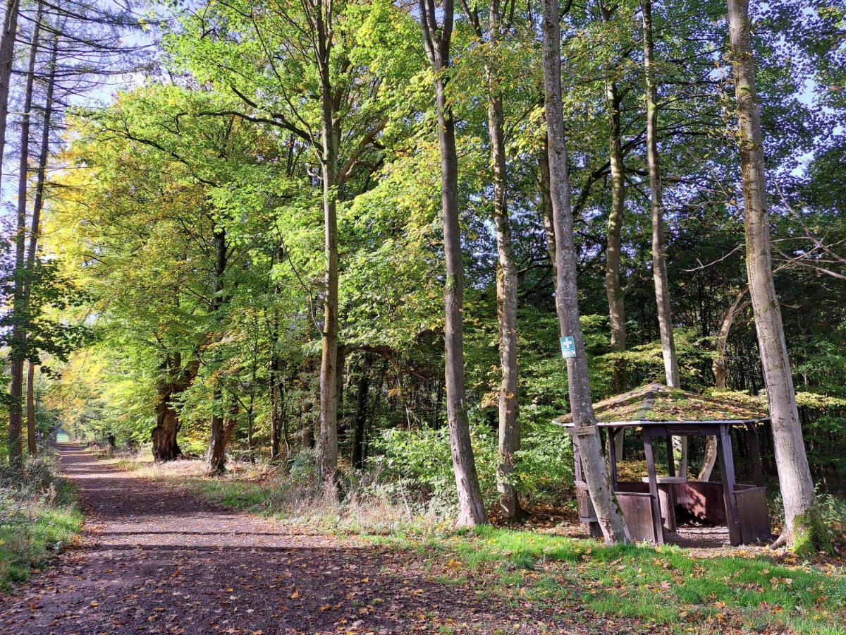 Steewer Landhaus Gemuetliche Ferienwohnung Bis 6 Pers In Ruhiger Ortsrandlage Stebach Buitenkant foto