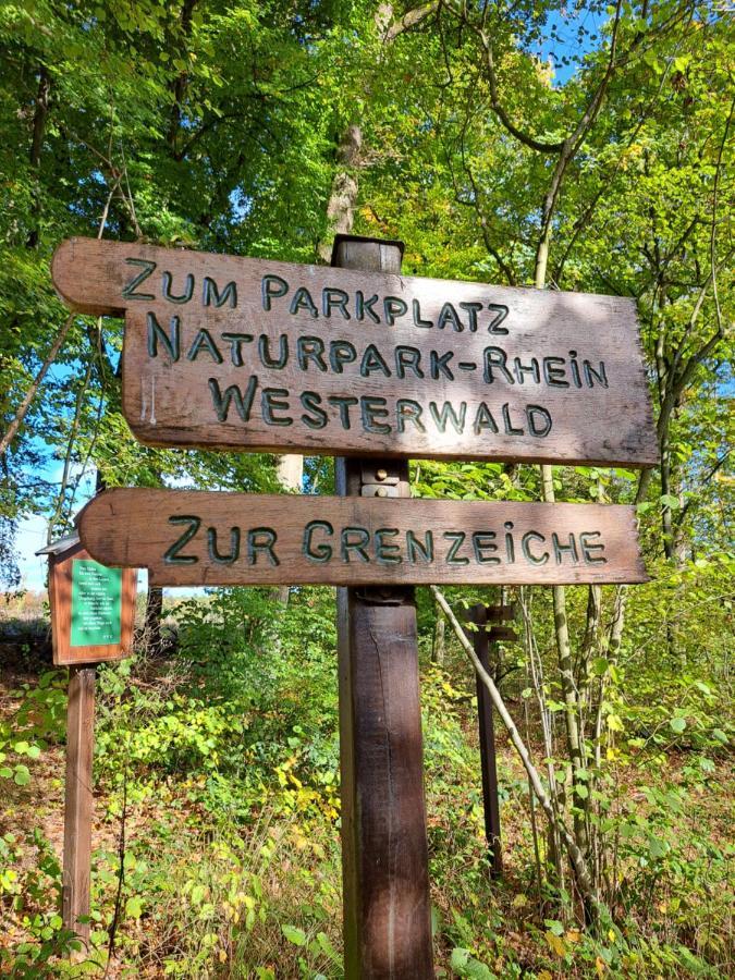 Steewer Landhaus Gemuetliche Ferienwohnung Bis 6 Pers In Ruhiger Ortsrandlage Stebach Buitenkant foto