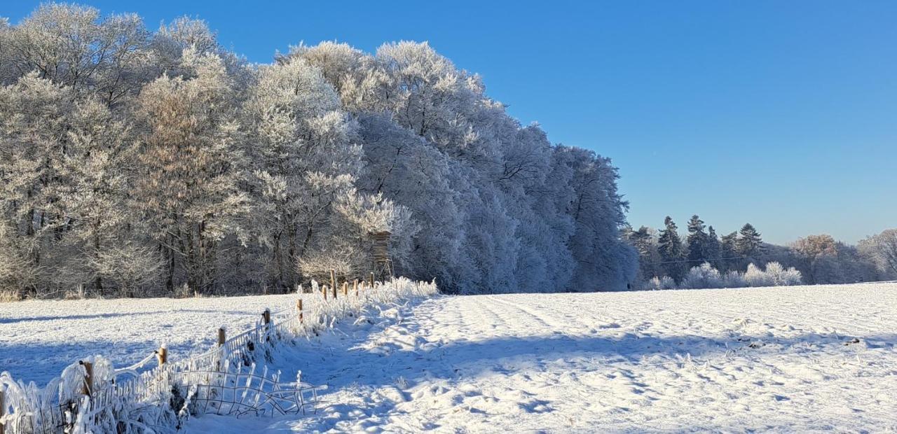 Steewer Landhaus Gemuetliche Ferienwohnung Bis 6 Pers In Ruhiger Ortsrandlage Stebach Buitenkant foto