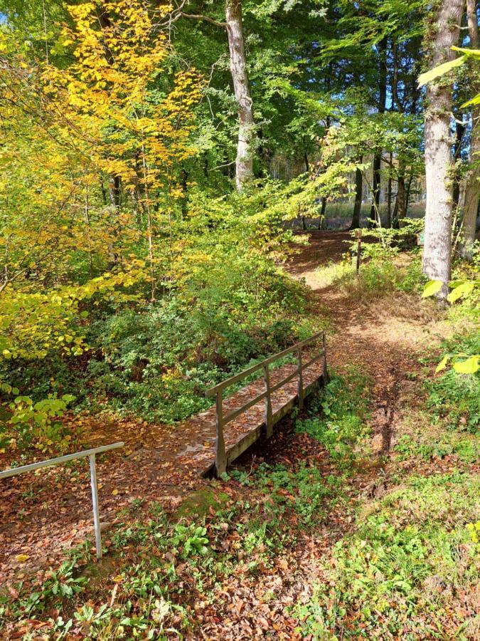 Steewer Landhaus Gemuetliche Ferienwohnung Bis 6 Pers In Ruhiger Ortsrandlage Stebach Buitenkant foto